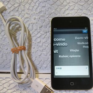 Apple iPod　64Ga A1367