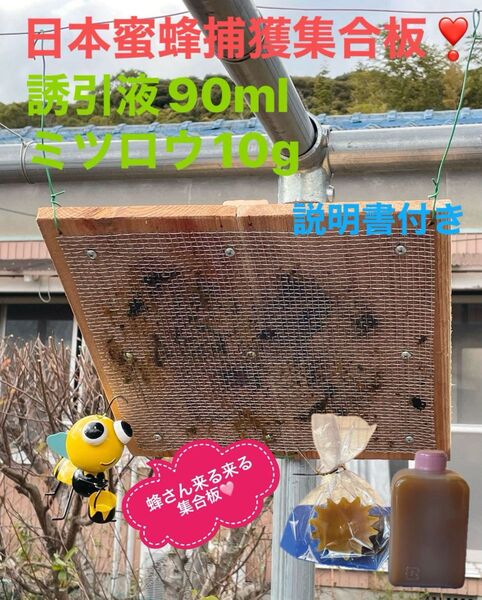 日本蜜蜂を捕獲するのに実績のある集合板と誘引液・蜜蝋のセットです! 約36cm角
