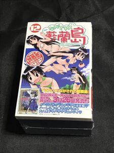 新品 ながされて藍蘭島12巻 初回限定特装版 しのぶフィギュア すずカード付き