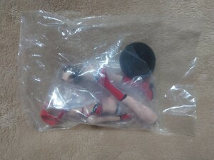  Ramble Roses day nobook@ 0 . figure unopened woman Pro Professional Wrestling 
