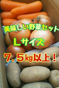 美味しい野菜セット！Lサイズ！7.5㎏以上！常備野菜！詰め合わせ！