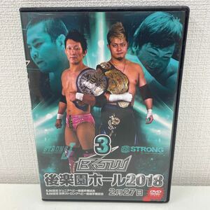 【1円スタート】 大日本プロレス 後楽園ホール2018 2月27日 DVD