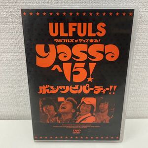 【1円スタート】 ウルフルズがやって来る! ヤッサヘ15! ボンツビパーティー!! DVD