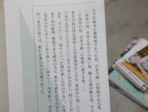 東京の島　斎藤潤(光文社新書2007年)送料116円　伊豆諸島と小笠原諸島_画像3