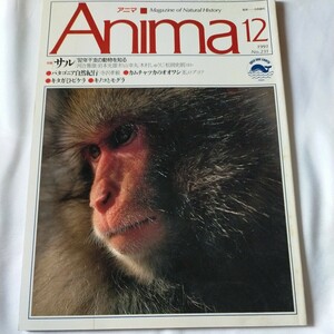 アニマ　1991年12月号 No231