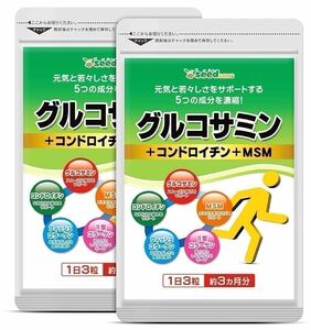 ★送料無料★グルコサミン+コンドロイチン+MSM 約6ヶ月分シードコムス サプリメント フィッシュコラーゲン Ⅱ型コラーゲン 健康