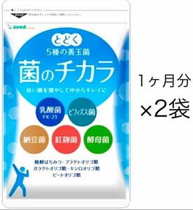 ★送料無料★菌のチカラ 約2ヶ月分(2026.2~)(1ヶ月分×2袋)乳酸菌 ビフィズス菌 納豆菌 ナットウキナーゼ シードコムス サプリメント