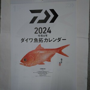 新品 2024 令和6年 ダイワ DAIWA 魚拓 カレンダー 店名なし 大野龍太郎