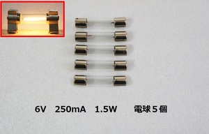 電球 6V 250mA 1.5W 5個セット ガラス管ヒューズ型 電球 フィラメントランプ 