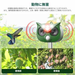 【送料無料】動物撃退器 鳥/犬/猫避け 超音波 USB＆ソーラー充電 PIR赤外線センサー 猫退治 ネズミ除け 害獣撃退 糞被害 鳥害対策《H38》の画像4