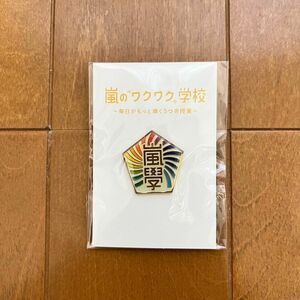 嵐 ワクワク学校 ピンバッジ　グッズ