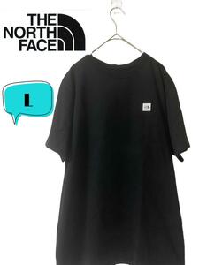 THE NORTH FACE ノースフェイス スモールボックスロゴ　TシャツL