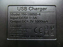 USB電源リチウムイオン電池充電器 18650 4本独立同時充電 新品未開封_画像4