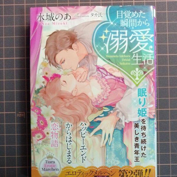 ⑳目覚めた瞬間（とき）から溺愛生活眠り姫を待ち続けた美しき青年王 （ティアラ文庫　エロティックメルヘンシリーズ） 水城のあ／著