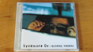 柳ジョージ GEORGE YANAGI/Sycamore Dr.