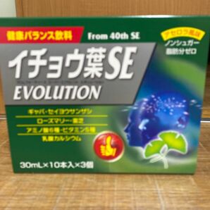 イチョウ葉　SE EVOLUTION