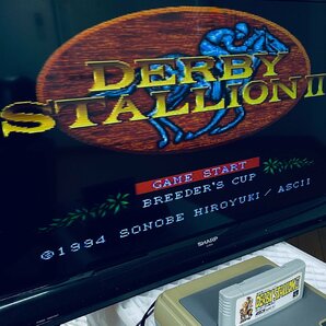 SFC スーパーファミコン ソフト ダービースタリオン II 箱説付 起動確認済の画像5