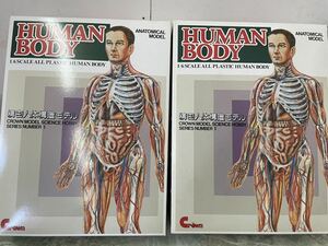 精密人体構造モデル　希少　精密人体構造モデル　HUMAN BODY 2箱セット