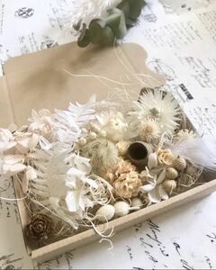  white flower nuts * dry flower material for flower arrangement assortment set 