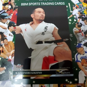 【即決】BBM infinity 2018 インフィニティ/菊野克紀/#058/ スポーツトレーディングカード/同梱可能 