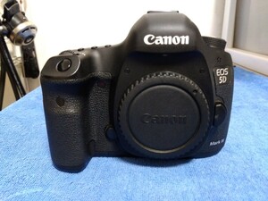 期間限定値下 CANON EOS 5D Mark III 3 キャノン メーカーでメンテナンス済