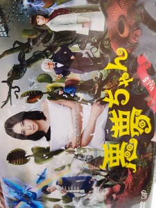 悪夢ちゃん　全5巻セット【DVD】レンタルアップ　邦-2