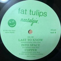 LP 青いノスタルジーを疾走感あるメロディーで聴かせるネオアコ~ギタポ屈指の名曲 FAT TULIPS/NOSTALGIA[UK盤:'92作:インサート]★Confetti_画像6