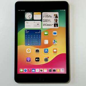 Apple SIMフリー iPad mini (第5世代) スペースグレイ 64GB MUX52J/A Wi-Fi+Cellular iOS17.1.1 アクティベーションロック解除済