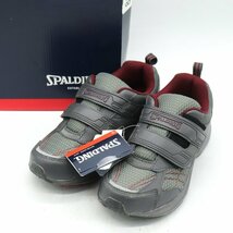 スポルディング スニーカー 未使用 幅広 3E 靴 シューズ レディース 22.5cmサイズ グレー SPALDING_画像1