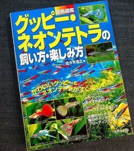  Guppy * neon Tetra. .. person fun person l. color illustrated reference book & breeding guide kind aquarium layout maintenance control bait water plants breeding tropical fish #