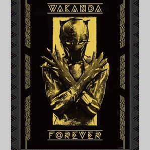 ブラックパンサー/ワカンダ・フォーエバー オリジナル B2布ポスター 新品未開封