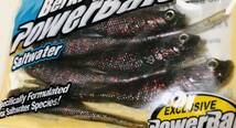 レア！　Berkley Power Bait バークレイ パワー ベイト Saltwater ソルトウォーター　5 ジャークシャッド　6P WATERMN RED GLTR Jerk Shad_画像3