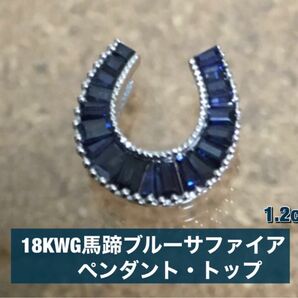 18KWG馬蹄ブルーサファイア&ダイヤモンドペンダントトップ