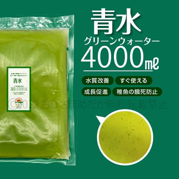 送料無料【青水　グリーンウォーター　4000ml】メダカ　めだか　稚魚　クロレラ　ミジンコ　ゾウリムシ　PSB　餌　エサ　針子にどうぞ