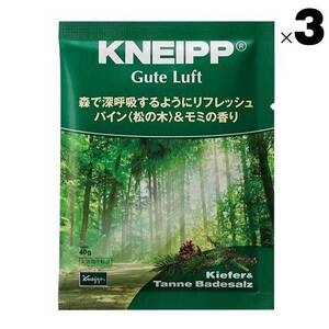 3点セット グーテルフト パイン＆モミ クナイプ バスソルト 40g KNEIPP お試し 個包装 入浴剤 メール便