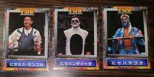 さくら堂　2000 FMW OFFICIAL CARD プレゼントカード　A 3枚　非売品