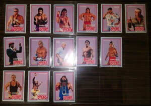 TITAN SPORTS 1989 WWF BUBBLEGUM CARD SUPER STARS OF WRESTLING 14枚　中古品