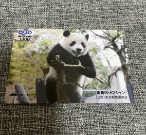 使用済みクオカード シャンシャン パンダ 上野動物園