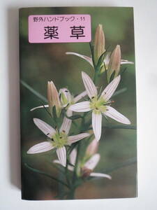 薬草 野外ハンドブック 11　井波 一雄　1983年第1刷　山と渓谷社　