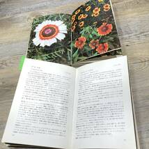 Q-2096■庭の花 1・2 2冊セット■山渓カラーガイド■山と山渓社■初版本_画像5