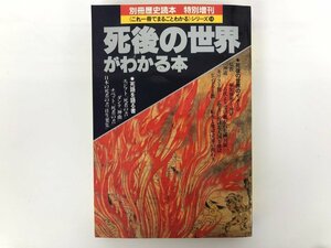 ★　【死後の世界がわかる本 別冊歴史読本 これ１さつでまるごとわかる 14 新人物往来社 1994年】175-02312