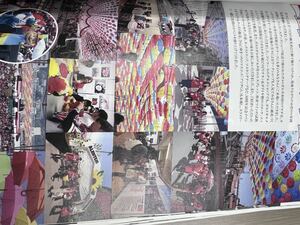広島東洋カープ　球団たより　広報誌　年間指定 2015年〜2021年　一部なし　carp 限定