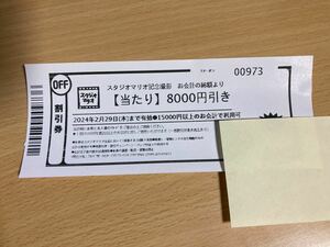 スタジオマリオ 撮影割引券8000円分