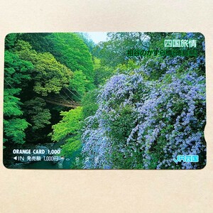 【使用済】 花オレンジカード JR四国 四国旅情 祖谷のかずら橋(徳島県)