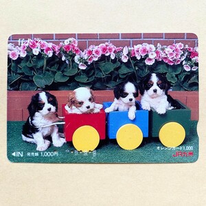 【使用済】 オレンジカード JR九州 子犬 トロッコ列車
