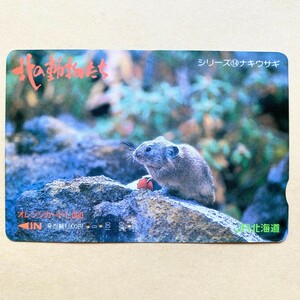 【使用済】 オレンジカード JR北海道 北の動物たち シリーズ⑭ ナキウサギ