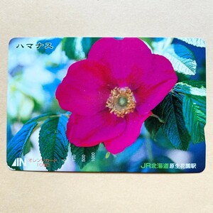 【使用済】 花オレンジカード JR北海道 ハマナス