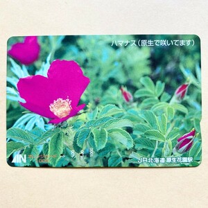 【使用済】 花オレンジカード JR北海道 ハマナス(原生で咲いてます)