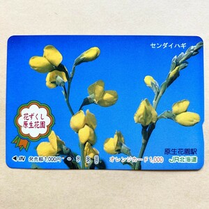【使用済】 花オレンジカード JR北海道 花ずくし原生花園 センダイハギ