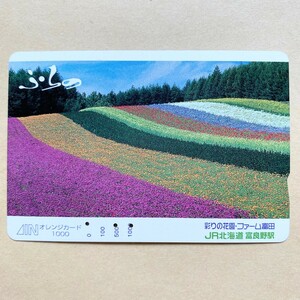 【使用済】 花オレンジカード JR北海道 ふらの 彩りの花園ファーム富田
